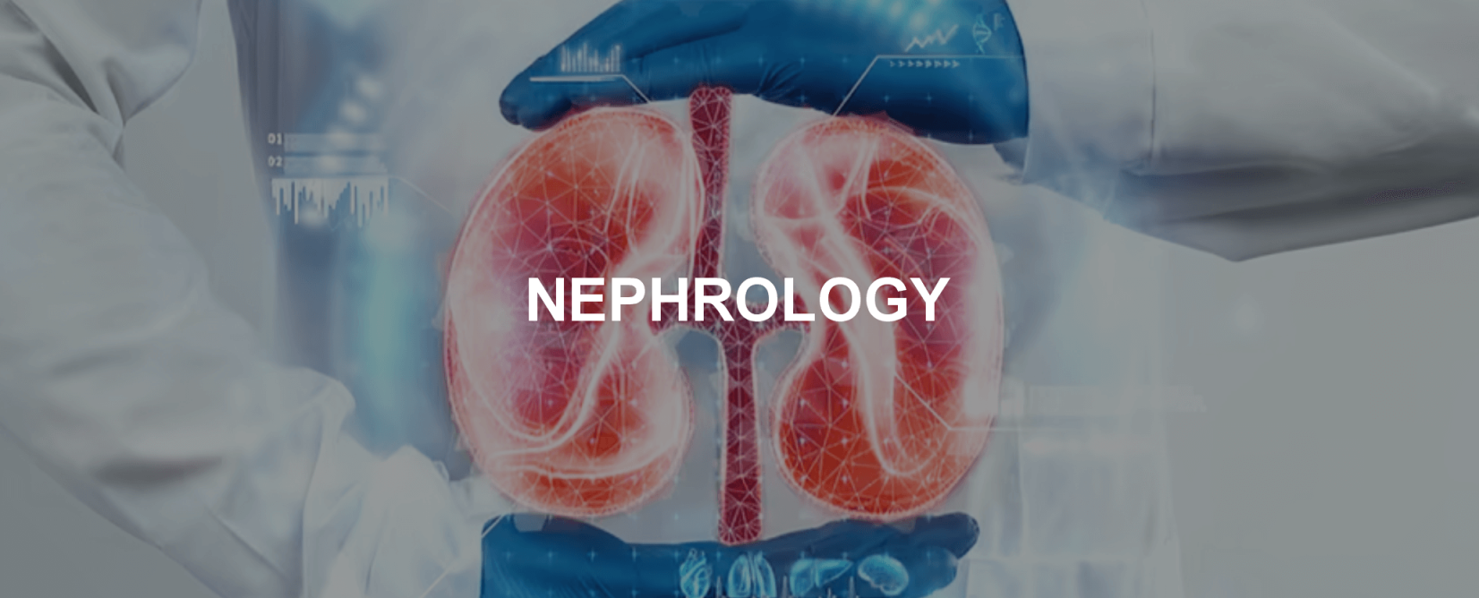 nephrology